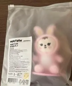 SEVENTEEN MINITEEN ジョンハン トラム マグネットキーリング