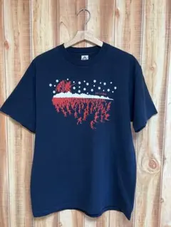 2011 Birkie スキーレース Tシャツ Lサイズ ALSTYLE製