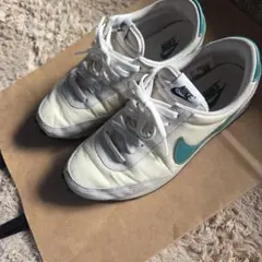 Item thumbnail for item 473b8cfe-5b73-45f9-bde7-8dabe3c2e7c8