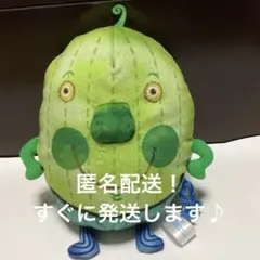 ナンジャモンジャ　ミドリ