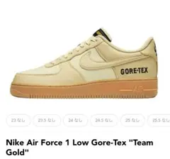 Air Force 1 Low Gore-Tex Team Gold