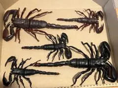 ★にこ★プロフ必読★様 リクエスト 2点 まとめ商品