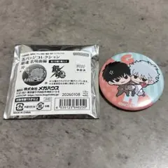 銀魂 キャラポップストア 花鳥風月 缶バッジセット 坂田銀時 土方十四
