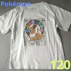 【120】Pokémon　ユニクロ　半袖　Ｔシャツ　UT　イーブイ　ベージュ