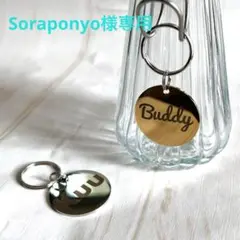 Soraponyo様専用❀︎ご確認ページ❀︎ステンレス製大型犬サイズ迷子札