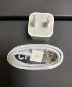 Apple 정품 Lightning 케이블 어댑터 충전기