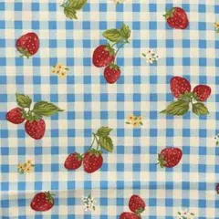 廃盤 野いちご ギンガムチェック ブルー 110×50 オックス 在庫ラスト