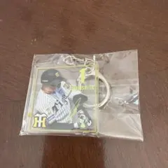 阪神タイガース　森下翔太　選手のサムネイル