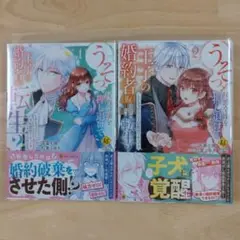 うそっ、侯爵令嬢を押し退けて王子の婚約者(仮)になった女に転生? 1.2巻既刊