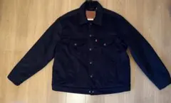 Item thumbnail for item 067c382b-be1e-4d38-86ea-a5e92b63cabf