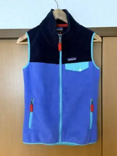 Patagonia Synchilla フリース ベスト レディース XS