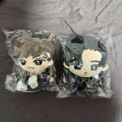 すのチル　big ぬい　未開封　阿部亮平　目黒蓮　めめあべ