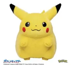 ポケットモンスター 30周年記念 おかえり！ピカチュウ1/1 ぬいぐるみ