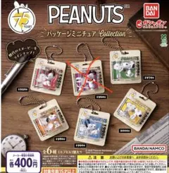 ピーナッツ　スヌーピー　パッケージミニチュアコレクション