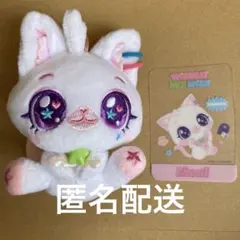 サクヤ NCT WISH WISH CAT ぬいぐるみ ウィッシュキャット - メルカリ