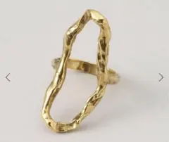 ADER.BIJOUX アデルビジュー TERRE ring リング