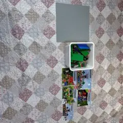 Minecraft　LEGOブロックセットと説明書5冊