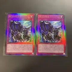 遊戯王 霆王の閃光 ドミナススパーク レリーフ 2枚 ブレイジング
