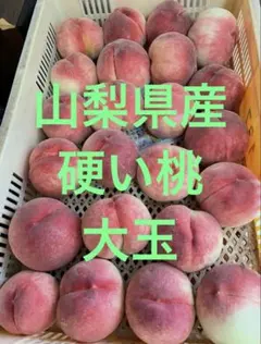 山梨県産 カリカリ硬いモモ 6キロ クール便 - メルカリ