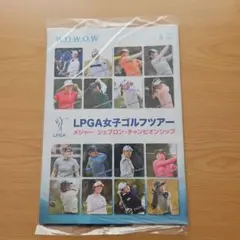 Item thumbnail for item a8923338-552a-4a1e-b739-ef28463c9025