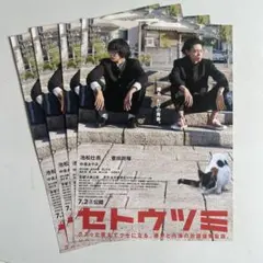 【非売品】池松壮亮&菅田将暉 『セトウツミ』 フライヤー4枚セット