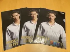 ザバス 岩本照　MUSCLE ELITEクリアファイル 3枚セット