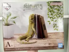 一番くじ 爬虫類＆両生類 A賞 フトアゴヒゲトカゲ ブックスタンド