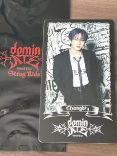 Stray Kids チャンビン　スペシャルトレカdominATE ソウル