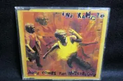 シングル　アイニ・カモゼ　HERE COMES THE HOTSTEPPER