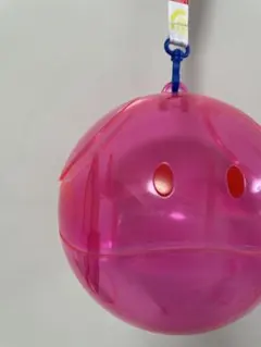 2025年最新】ガンダムファクトリー ハロ ポップコーンケースの人気