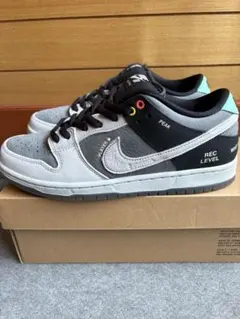NIKESB DUNK LOW PRO カムコーダ
