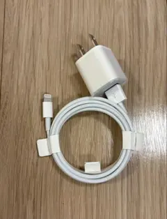 【純正】Lightningケーブル　ACアダプタセット
