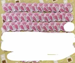 なゆ様専用 いれいす ないこ おきて 缶バッジ 等身 35個