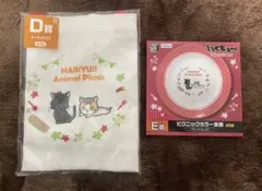 ハイキュー 音駒 くじ