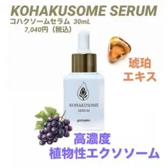 らら様】ソーマ琥珀b 化粧水 30ml 価格7,700円税込 - メルカリ