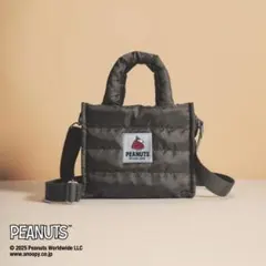 InRed11月号特別付録 スヌーピー 2WAYキルティングバッグ