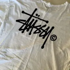 Stussy 半袖 Tシャツ バックロゴホワイトMのサムネイル