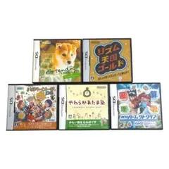 DS カセットケース