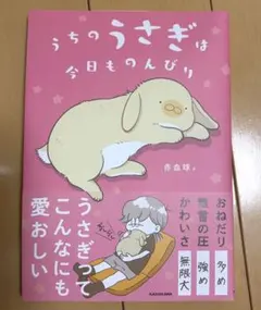 うちのうさぎは今日ものんびり