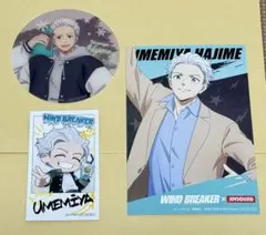 WIND BREAKER 梅宮一　セット