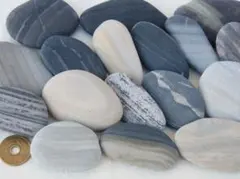 【天然石】石ころ・ストライプ・縞模様★17個★11/23-5