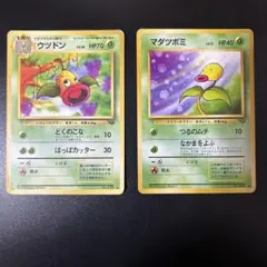 旧裏 ポケモンカード　マダツボミ ウツドン 進化セット　当時物のサムネイル