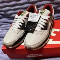 ナイキエア マックス 90 SE （スペシャルエディション）国内未発売品