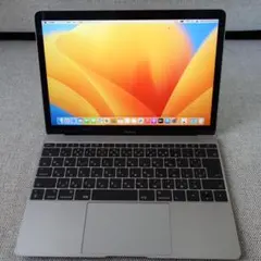 MacBook 12インチ 2017 A1534 ジャンク SSD認識不可 - メルカリ