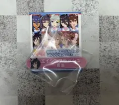 ウマ娘 担当称号アクリルバッジコレクション エイシンフラッシュ