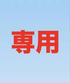 専用ページ