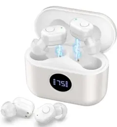 Item thumbnail for item c84542d9-8dc6-460a-bbad-a5181f15053e