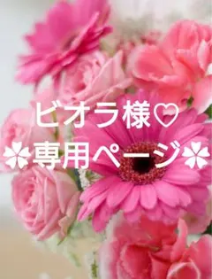 ビオラ様♡専用ページ.。.:*♡✿ฺ