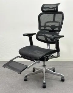 エルゴヒューマン