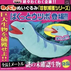 2026年最新】ウツボ ぬいぐるみの人気アイテム - メルカリ